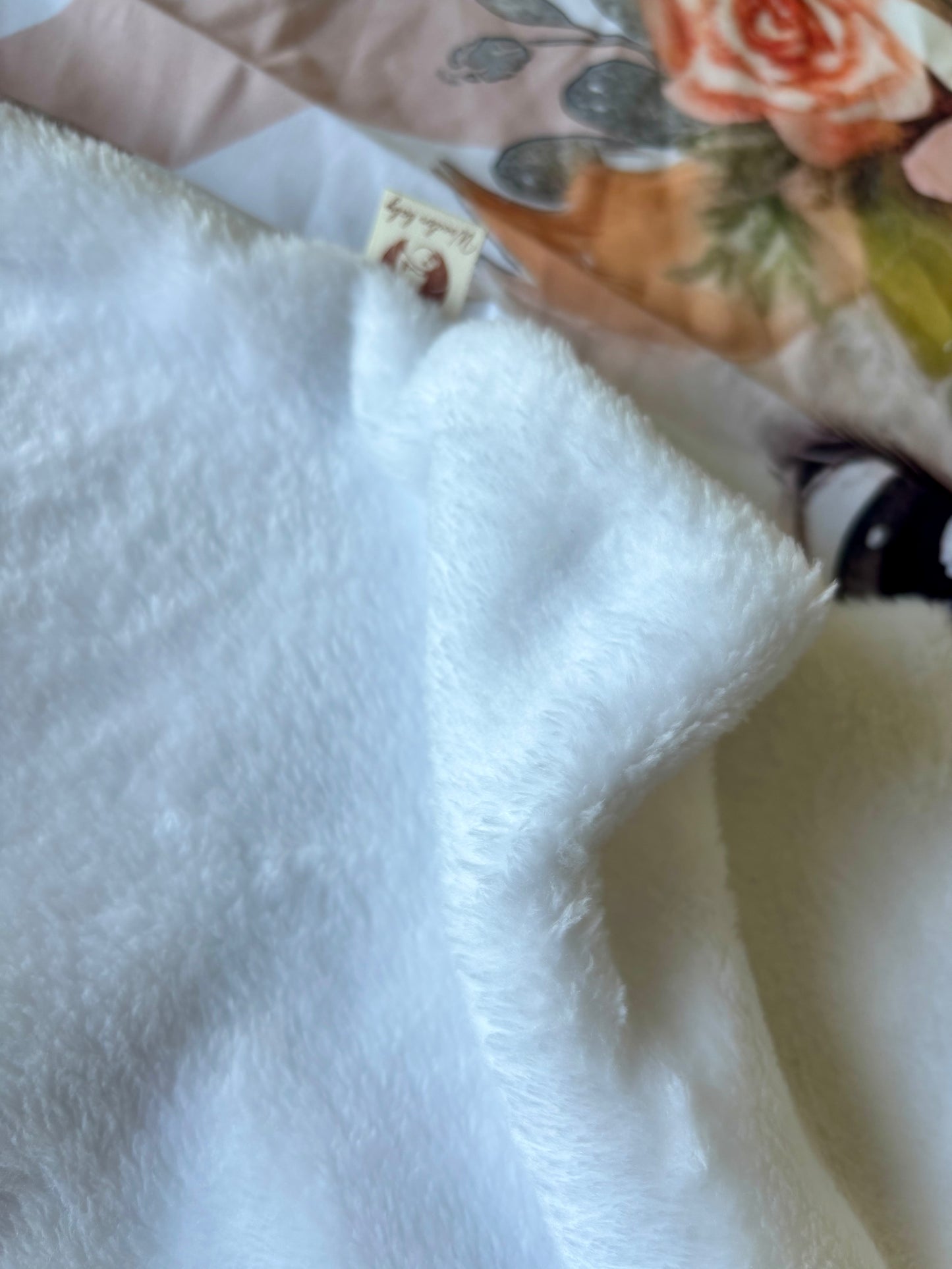 Couverture Renard